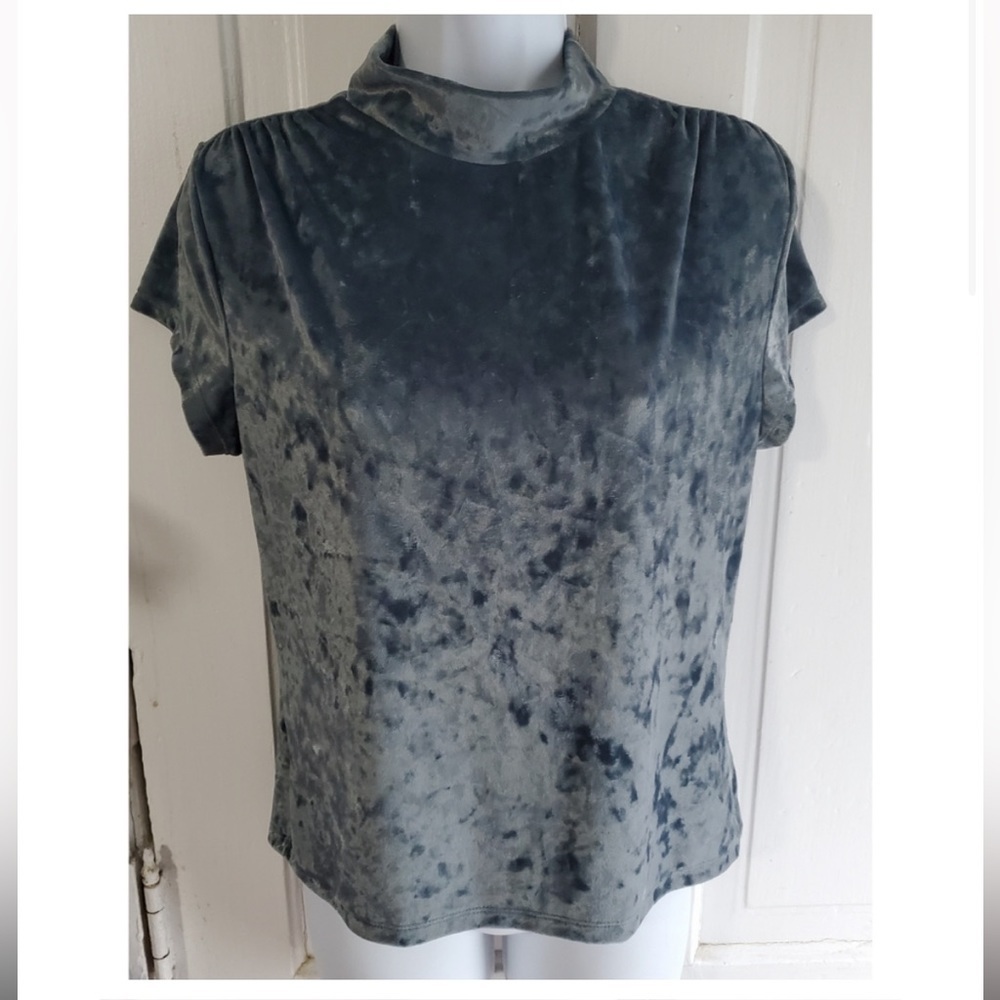 A New Day Velvet Mock Turtleneck
Short Sleeve Velour Teal Top - Picture 5 of 8